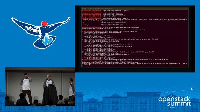 Troubleshooting Neutron- Physical and Virtual Networks смотреть онлайн