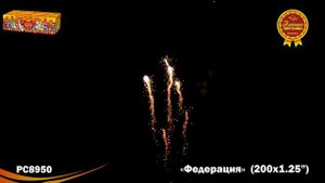 РС8950 Федерация