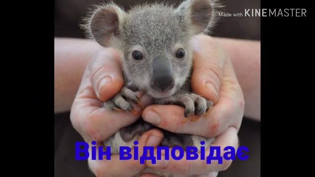 #З_донечкою! Пісня "Бог є благий!" смотреть онлайн