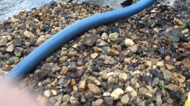 Эжектор нижний "Дипсис"-3"(75см) смотреть онлайн