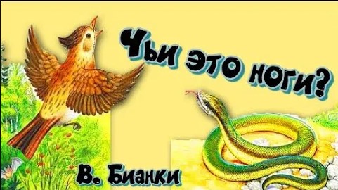 В. Бианки Чьи это ноги