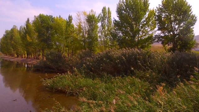 Орловка Зона отдыха смотреть онлайн