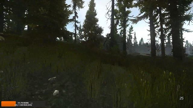 Гайд на Лучшую винтовку - ДВЛ-10 .. #тарков #escapefromtarkov #eft #гайдтарков смотреть онлайн