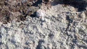 АРАЛСКИЙ МОРЕ СЕЙЧАС