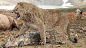 Меняю ОС по Доисторическому миру Мосбахский лев Самый крупный вид львов в историий земли