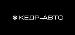 Зарядные устройства "Кедр-Авто": максимальная производительность для вашего АКБ