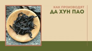 Производства Да Хун Пао ручным способом