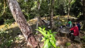 КОЧАНГ УДИВИЛ! Я ожидал меньшего! Крутейшие локации, купание с рыбами и ЕДА! Паттайя, подожди ...