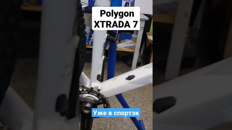 Велосипед Polygon Xtrada 7 2023