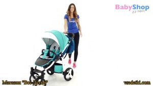 Обзор прогулочной коляски Camarelo Elf (Камарело Эльф)