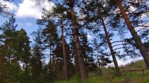 Сплав по реке Клязьма