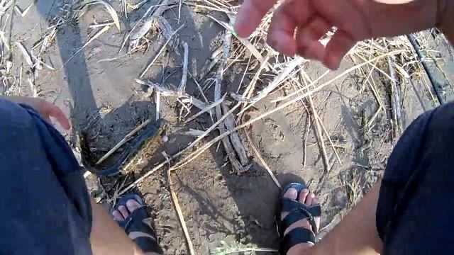 Рыбалка на Капчагае.Ловля змееголова.Супер отдых.Природа смотреть онлайн