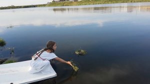 На Ивана Купала Клип 2019