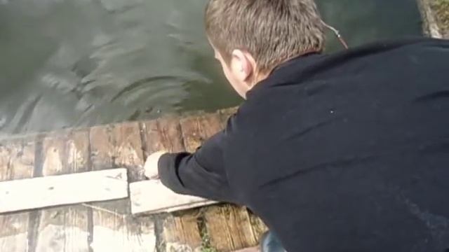 Ловля ротана на зимнюю удочку летом. смотреть онлайн