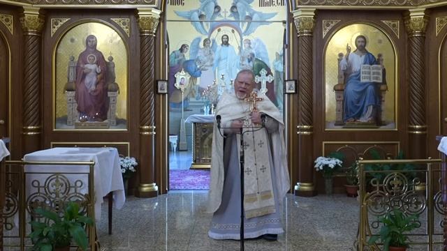 Лжеименный разум или Богооткровенная Истина. Проповедь свящ. Георгия Полякова в 7-ю неделю по Пасхе смотреть онлайн