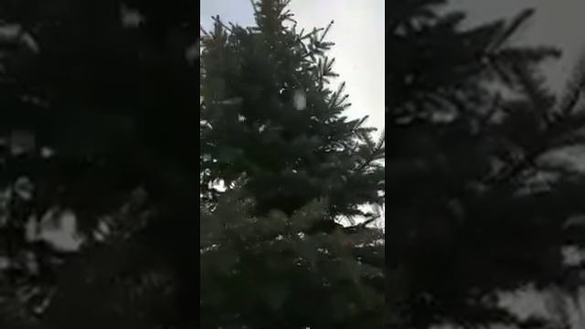 Молитва Иисусова. смотреть онлайн