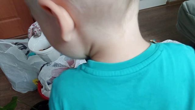 Мотивация на пересадку/Как пересаживать ароидные РАСТЕНИЯ? ?/ Рассаживаю сортовые САНСЕВИЕРИИ?
