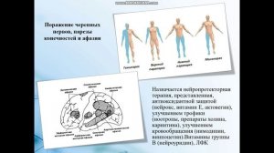 Лечение осложнений клещевого и эпидемического энцефалита