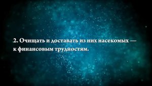 К чему снится чистить уши - Онлайн Сонник Эксперт
