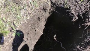 Equinox 800 против Nokta Makro Simplex