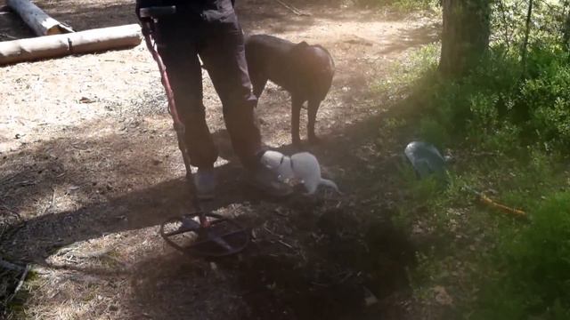 Коп с хорьком и собакой смотреть онлайн