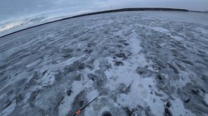 В поисках судака Белоярка