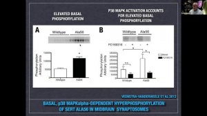 Treatable Traits of Autism Implicate Serotonin–Neuroinflammation – R. Blakely PhD @Synchrony2020