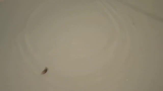 Видео игра в отвес зимняя отвесная блесна БлесМорк Ромбик один крючок смотреть онлайн