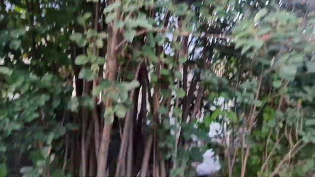 🏡 ДАЧНЫЙ ВЛОГ #17: НАКОНЕЦ-ТО ШАШЛЫК / ОПЯТЬ ВСЕ ЗАРОСЛО 🙈 / КУПАНИЕ В БАССЕЙНЕ ❤ МОИ ДЕТИ