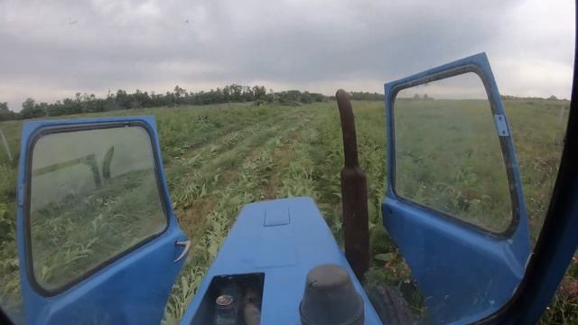 Сенокос 2021 Косим сено косилкой lisicki 1.65 уборка 2021 смотреть онлайн