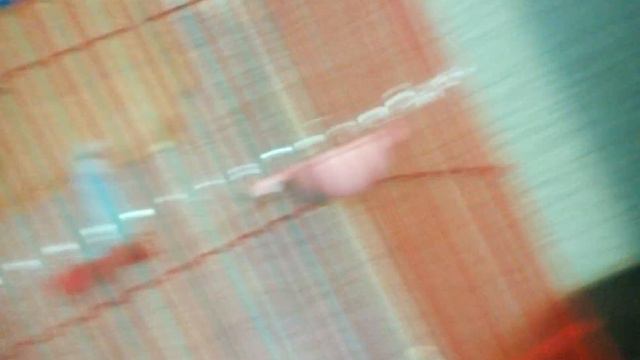 Как сделать так чтобы попугай запомнил свое Кличко смотреть онлайн