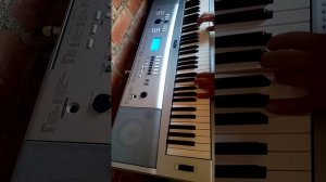 Folkrok yamaha DGX 230