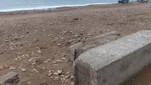 Бухта Щитовая.  Владивосток  2022