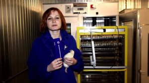 Перепелка: Перепелиная ферма Кирилла Короткова