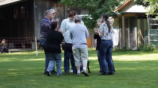 Тестирование поведения немецкого дога, Швейцарский Клуб "Немецкий дог" смотреть онлайн