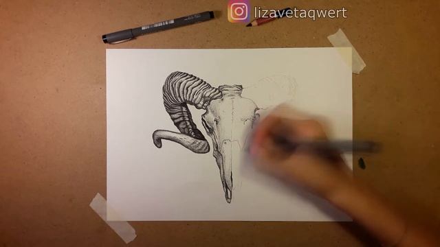 Рисование линером (маркером) "Череп барана" / Painting liner (marker) "Skull of a sheep" смотреть онлайн