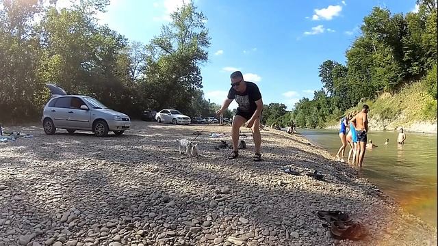 ОТДЫХ НА РЕКЕ КУРДЖИПС #адыгея #отдых #рекакурджипс #северныйкавказ смотреть онлайн