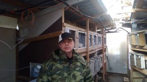 Смешиваю две породы КРОЛИКОВ  и РЕЗУЛЬТАТ превосходит все ожидания.