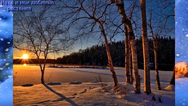 Разговоры по душам // Жизнь здесь и сейчас : прошлое  мертво , будущее ещё не родилось !