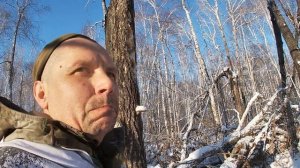 РУССКО -ЕВРОПЕЙСКАЯ ЛАЙКА.ОХОТА НА КУНИЦУ.ПУЛЯ  ЗДАЛА ЭКЗАМЕН.