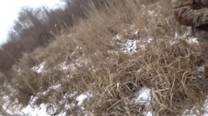 Охота на кабана / секач бросается на охотника / Фартовый охотник / Hunting