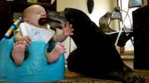 Скандальная реклама ИКЕА