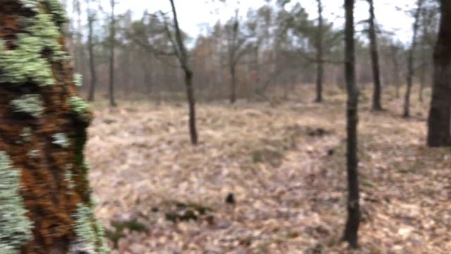 iPhone 8 КАМЕРА В 2021 ПОДРОБНЫЙ ТЕСТ ФОТО ВИДЕО ВОЗМОЖНОСТЕЙ КАМЕРЫ АЙФОН 8 В 2021 ГОДУ