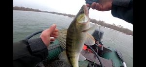 Поклевка хорошего судака, Ловля судака в Марте 2022.mp4