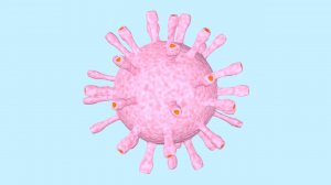 3D models Coronavirus