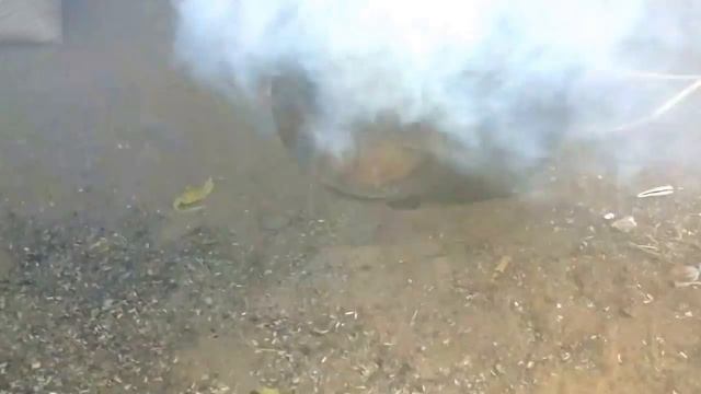 Копия видео "Пеллетная горелка на всех видах топлива" смотреть онлайн