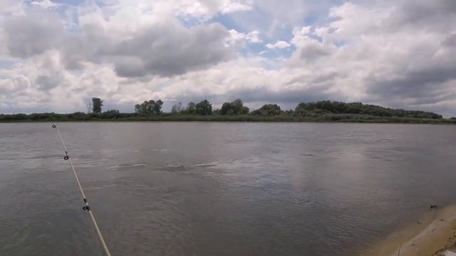 Шок!!! Рыбалка в диких местах на р.Ока. Забрались в реальную дичь. Жор стерляди и сомов на донку!!! смотреть онлайн