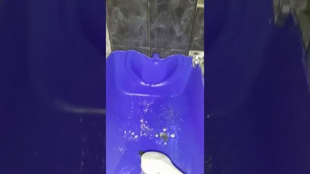 Кошачий унитаз смыв какашек одним движением водой смотреть онлайн