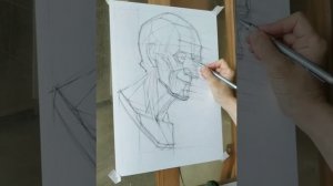 Конструктивный рисунок гипсовой головы Вольтера.