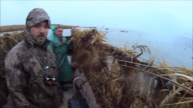 MANIA охота на гуся и утку, декабрь 2019г. смотреть онлайн